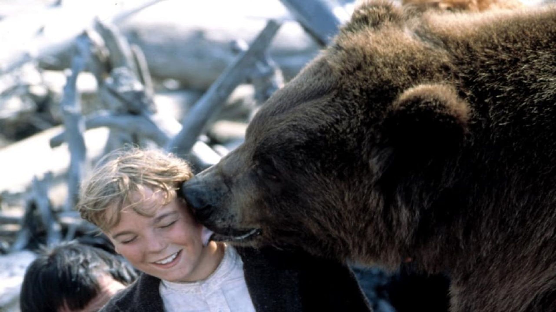 Хопкинс про медведя. Grizzly 1999. Grizzly Falls 1999.