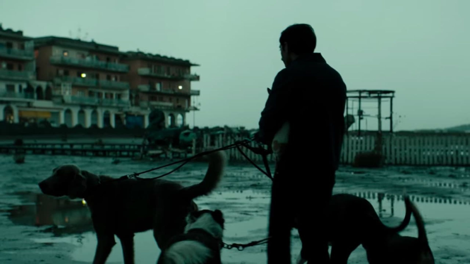 Включи dogman. Догмэн. Догмэн фильм. Догмен фото. Догмэн кадры из фильма.