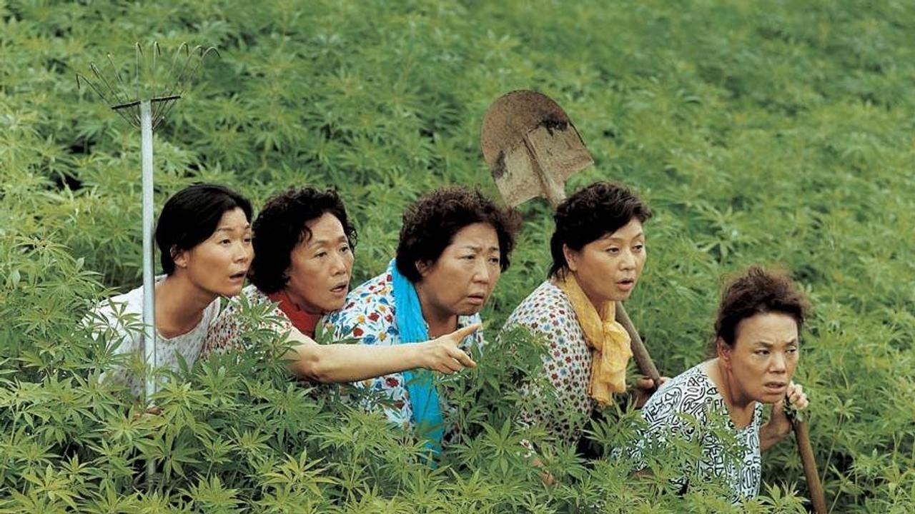 마파도 이미지